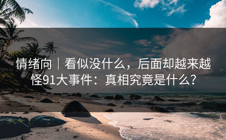 情绪向｜看似没什么，后面却越来越怪91大事件：真相究竟是什么？