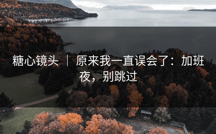 糖心镜头 ｜ 原来我一直误会了：加班夜，别跳过